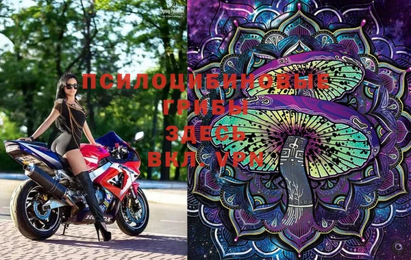 PSILOCYBIN Михайлов