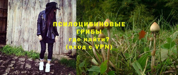 стаф Михайловка