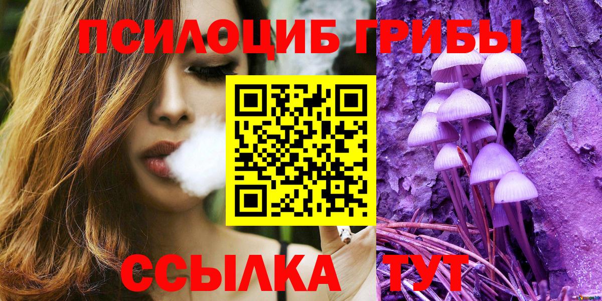 Псилоцибиновые грибы Psilocybe  Вход с VPN  Заводоуковск  Галлюциногенные грибы Cubensis 