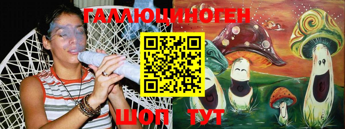 Псилоцибиновые грибы мухоморы  наркошоп  Галлюциногенные грибы Psilocybe  Заводоуковск 